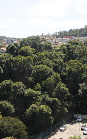 Apartamento para alugar com 49m², 2 quartos e 1 vagaÁrea de Serviço Vista