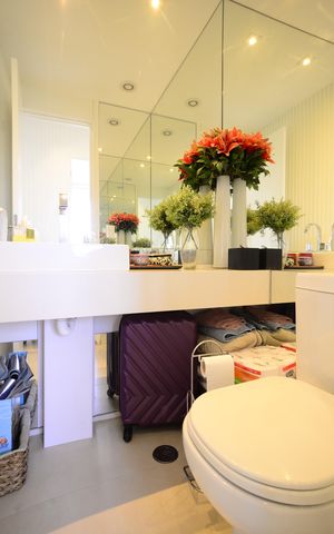 Apartamento à venda com 53m², 2 quartos e 1 vagaLavabo