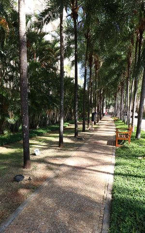 Apartamento para alugar com 264m², 3 quartos e 3 vagasÁrea comum 
