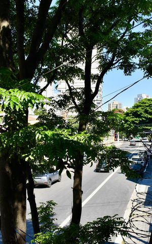 Apartamento para alugar com 102m², 3 quartos e sem vaga Apartamento para alugar com 102m², 3 quartos e sem vagaSacada Quarto 2