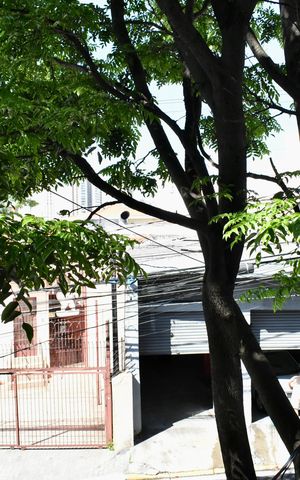 Apartamento para alugar com 102m², 3 quartos e sem vaga Apartamento para alugar com 102m², 3 quartos e sem vagaQuarto 1