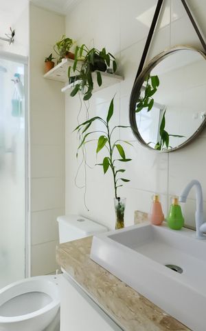 Apartamento à venda com 54m², 2 quartos e 1 vagaBanheiro Social