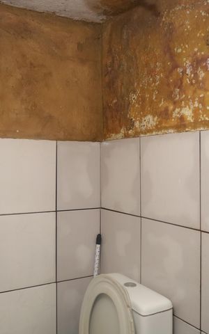 Casa à venda com 150m², 1 quarto e 2 vagasEdícula - Banheiro
