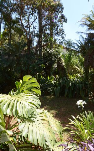 Casa à venda com 450m², 3 quartos e 3 vagasVista da Suíte
