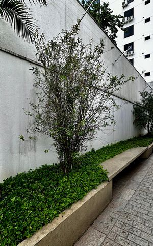 Apartamento para alugar com 216m², 3 quartos e 3 vagas Apartamento para alugar com 216m², 3 quartos e 3 vagasÁrea Comum - Área externa