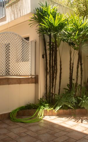 Casa à venda com 282m², 4 quartos e 3 vagasJardim