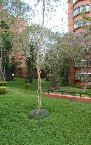 Apartamento à venda com 102m², 3 quartos e 1 vagaVista da Sala