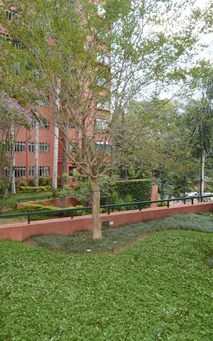 Apartamento à venda com 102m², 3 quartos e 1 vagaVista da Sala