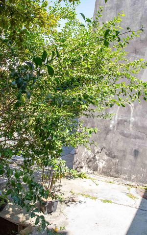 Casa para alugar com 180m², 3 quartos e 4 vagasQuintal