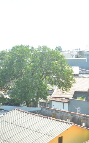 Apartamento para alugar com 100m², 2 quartos e 1 vagaVista do Quarto 2