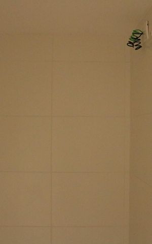 Apartamento para alugar com 33m², 1 quarto e sem vagaBanheiro