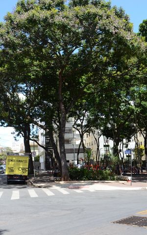 Casa à venda com 193m², 5 quartos e 4 vagasVista da Rua