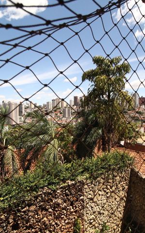 Casa para alugar com 564m², 5 quartos e 4 vagasSuíte 4 Varanda