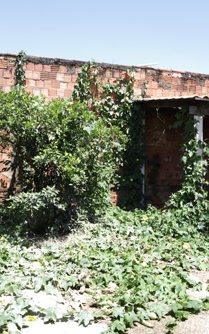 Casa à venda com 250m², 3 quartos e 2 vagasÁrea Externa