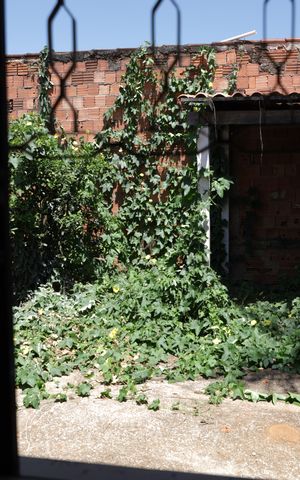 Casa à venda com 250m², 3 quartos e 2 vagasCozinha - vista