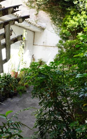 Casa à venda com 320m², 3 quartos e 2 vagasÁrea Externa