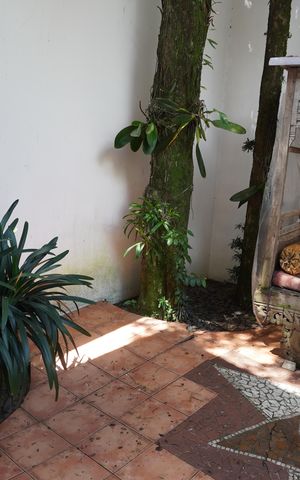 Casa à venda com 320m², 3 quartos e 2 vagasÁrea Externa