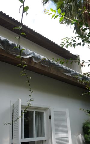 Casa à venda com 320m², 3 quartos e 2 vagasÁrea Externa