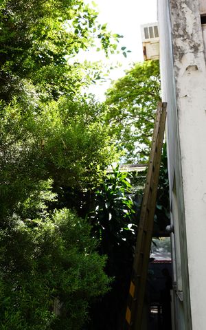 Casa à venda com 320m², 3 quartos e 2 vagasÁrea Externa