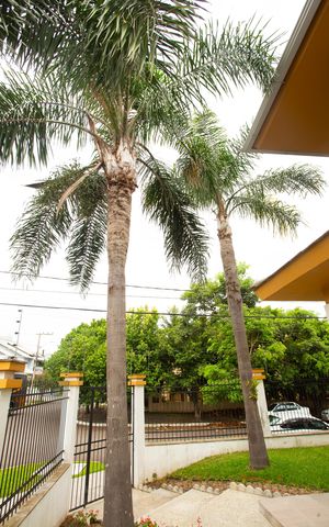 Casa à venda com 200m², 3 quartos e 2 vagas Casa à venda com 200m², 3 quartos e 2 vagasJardim/Coqueiros