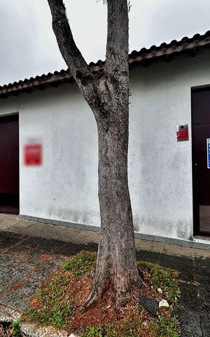 Casa à venda com 150m², 3 quartos e 8 vagas Casa à venda com 150m², 3 quartos e 8 vagasPlaca