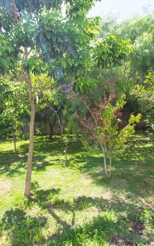 Apartamento à venda com 45m², 2 quartos e 1 vaga Apartamento à venda com 45m², 2 quartos e 1 vagaÁrea comum - Área verde