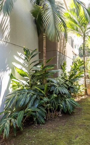 Apartamento à venda com 34m², 1 quarto e sem vaga Apartamento à venda com 34m², 1 quarto e sem vagaÁrea Externa