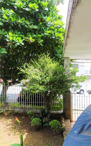 Casa para alugar com 191m², 4 quartos e 3 vagas Casa para alugar com 191m², 4 quartos e 3 vagasVista Do Quarto 1