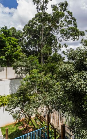 Apartamento à venda com 138m², 3 quartos e 3 vagasVista