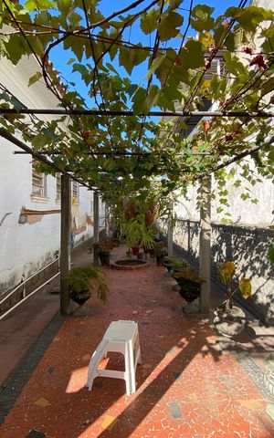 Casa para alugar com 1147m², 4 quartos e 7 vagas Casa para alugar com 1147m², 4 quartos e 7 vagasQuintal