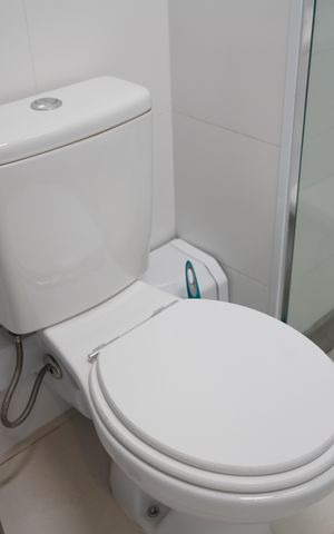 Apartamento à venda com 54m², 2 quartos e 1 vagaBanheiro