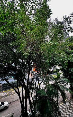 Apartamento à venda com 147m², 3 quartos e 2 vagas Apartamento à venda com 147m², 3 quartos e 2 vagasVista