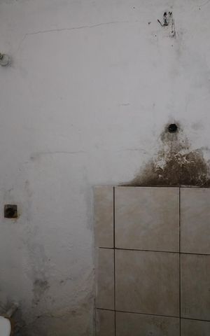 Casa à venda com 250m², 2 quartos e 2 vagasCasa 3 - Banheiro