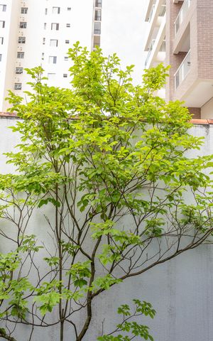 Casa de condomínio à venda com 215m², 3 quartos e 2 vagas Casa de condomínio à venda com 215m², 3 quartos e 2 vagasVista do quarto 2
