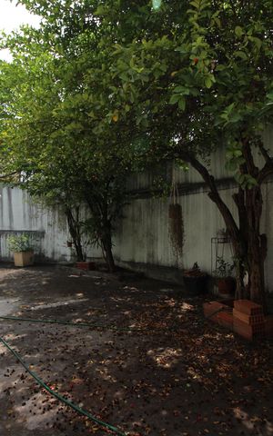 Apartamento à venda com 100m², 2 quartos e 2 vagasChurrasqueira