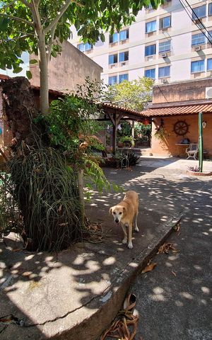 Casa à venda com 65m², 3 quartos e 2 vagasQuintal