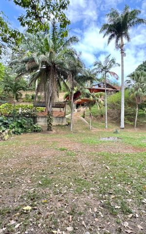 Casa de condomínio para alugar com 5400m², 5 quartos e 2 vagas Casa de condomínio para alugar com 5400m², 5 quartos e 2 vagasÁrea externa