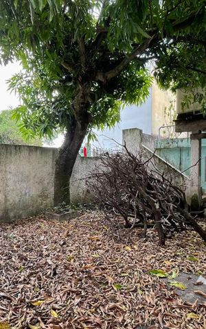 Casa à venda com 200m², 3 quartos e 4 vagas Casa à venda com 200m², 3 quartos e 4 vagasQuintal