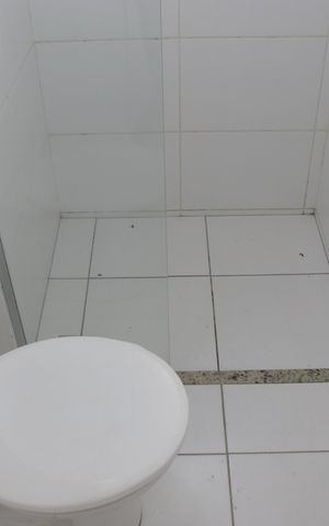 Apartamento para alugar com 80m², 3 quartos e 2 vagasBanheiro  Suíte 2