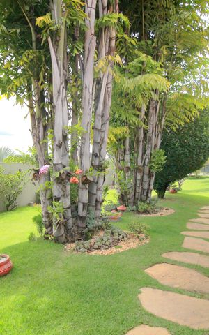 Casa à venda com 453m², 5 quartos e 4 vagasJardim