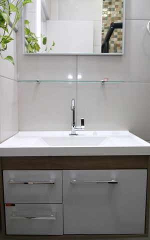 Apartamento à venda com 55m², 2 quartos e sem vagaBanheiro armário