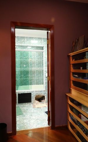 Apartamento à venda com 212m², 4 quartos e 3 vagasCloset da Suíte Master