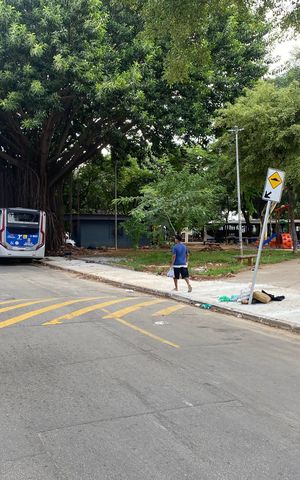 Apartamento para alugar com 70m², 2 quartos e sem vaga Apartamento para alugar com 70m², 2 quartos e sem vagaVista da Rua
