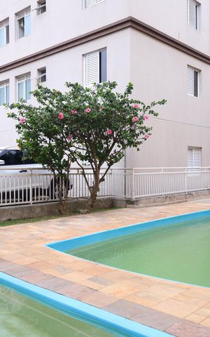 Apartamento à venda com 47m², 2 quartos e 1 vagaÁrea comum - Piscina