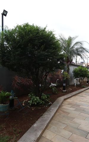 Apartamento à venda com 60m², 2 quartos e 1 vagaÁrea comum - Jardim