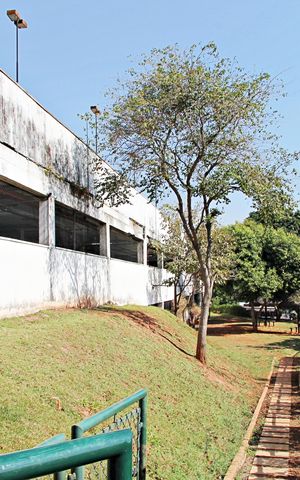 Apartamento para alugar com 64m², 3 quartos e 1 vagaEspaço Pet