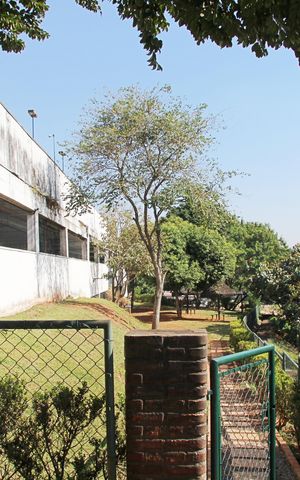 Apartamento para alugar com 64m², 3 quartos e 1 vagaEspaço Pet