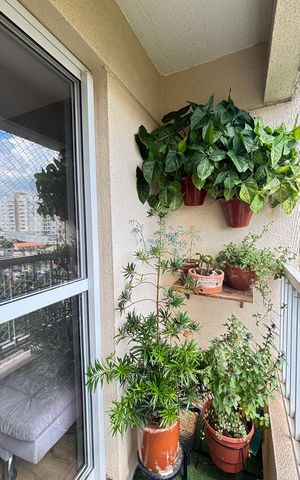 Apartamento para alugar com 51m², 2 quartos e 1 vaga Apartamento para alugar com 51m², 2 quartos e 1 vagaVaranda da Sala