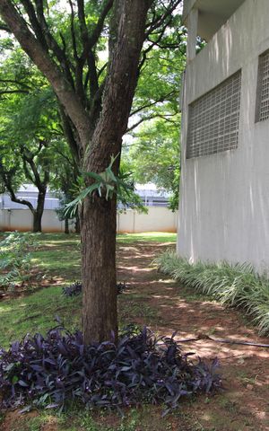 Apartamento à venda com 61m², 2 quartos e 1 vagaÁrea comum