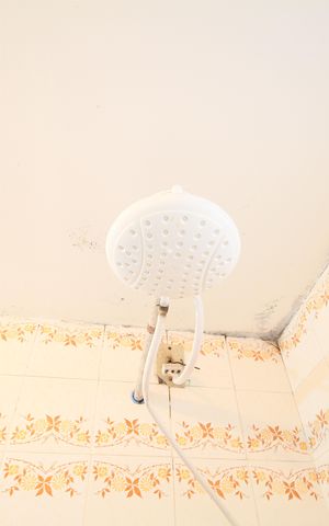 Apartamento à venda com 56m², 2 quartos e 1 vagaBanheiro Social